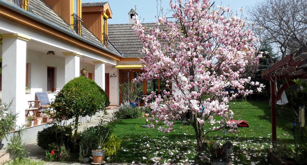Hotel Rudolf'S Fogado Zsira Zewnętrze zdjęcie