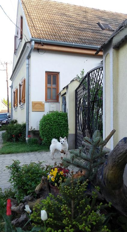 Hotel Rudolf'S Fogado Zsira Zewnętrze zdjęcie